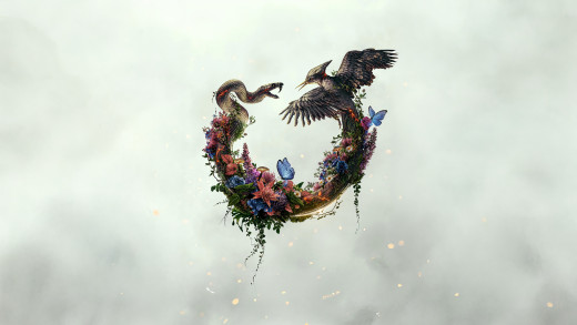 �1763441 �������(a): ����������:5120x2880